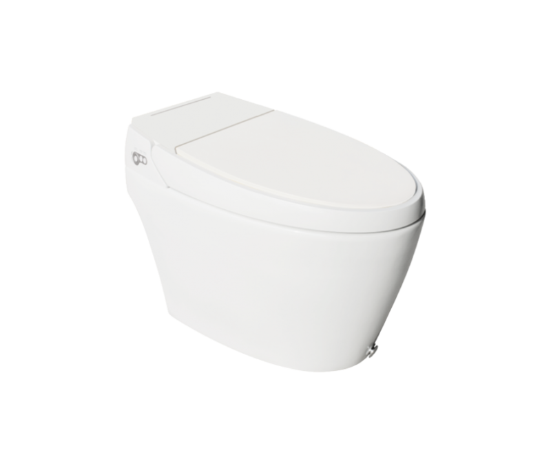 Intelligent Toilets - Image 3