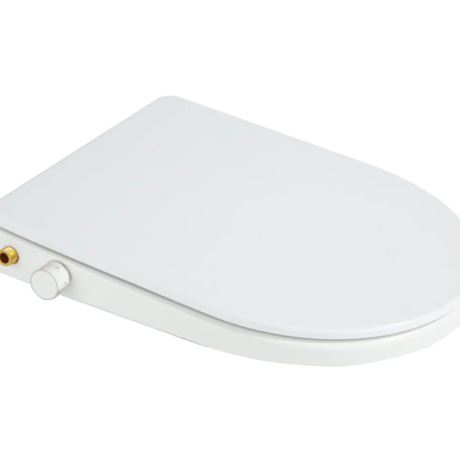 Bidet1 (4)