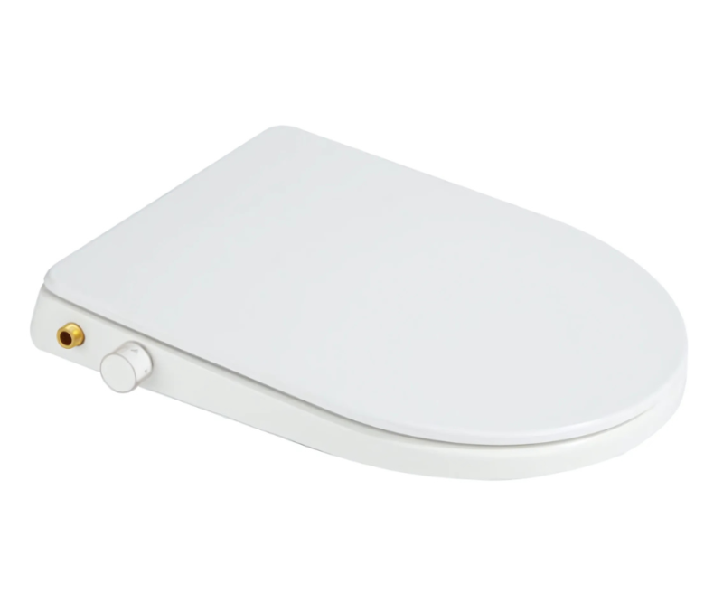 Bidet1 (4)