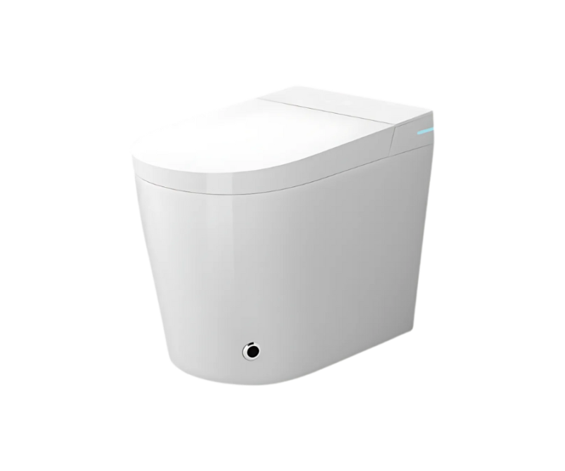 Intelligent Toilets
